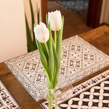 Sanzenetto Apartament Werona